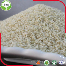 Export Natural Organic White Sesame Seed